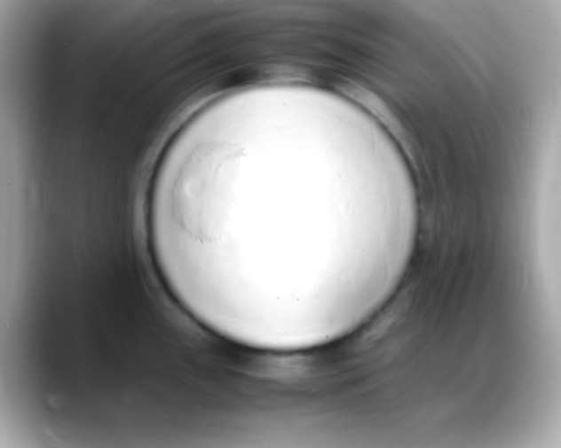 X0000088151243200706042023