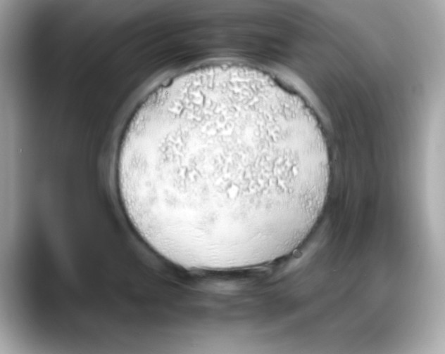 X0000088151245200706042023