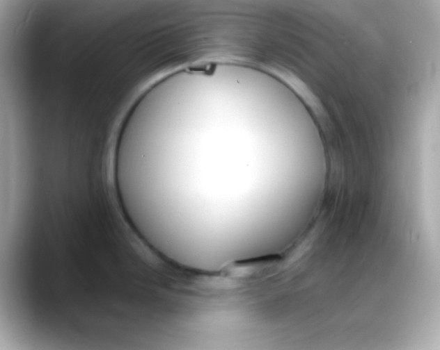 X0000088151246200706042023