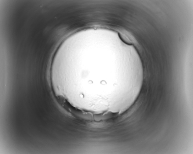 X0000088151247200706042023