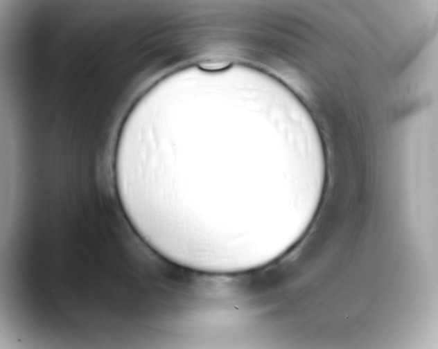 X0000088151248200706042023