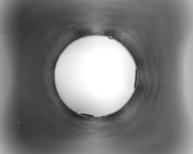 X0000088151249200706042022