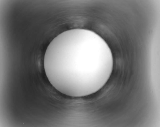 X0000088151250200706042022