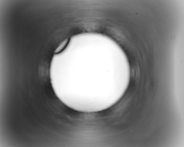 X0000088151251200706042022