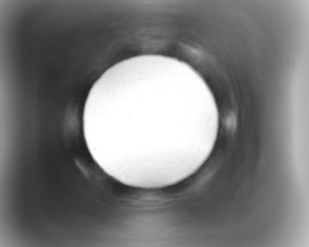 X0000088151252200706042022