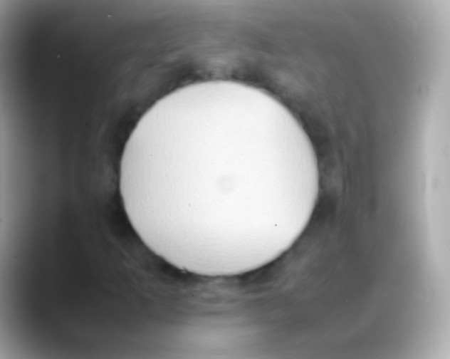 X0000088151253200706042022