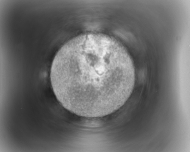 X0000088151254200706042022