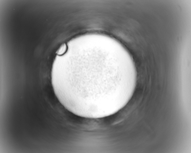 X0000088151255200706042022