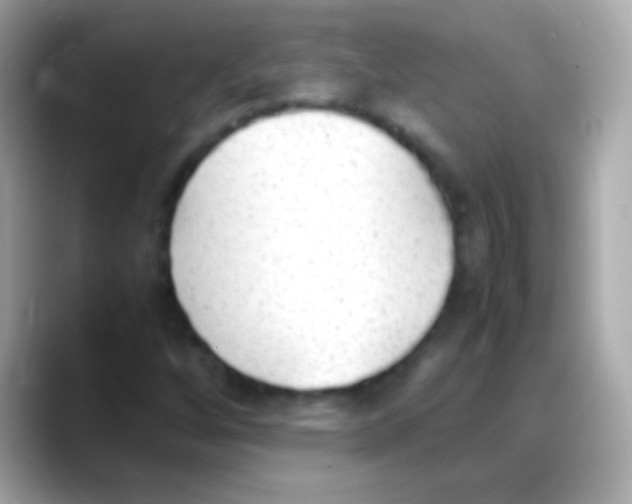 X0000088151256200706042022