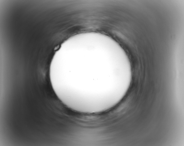 X0000088151257200706042022