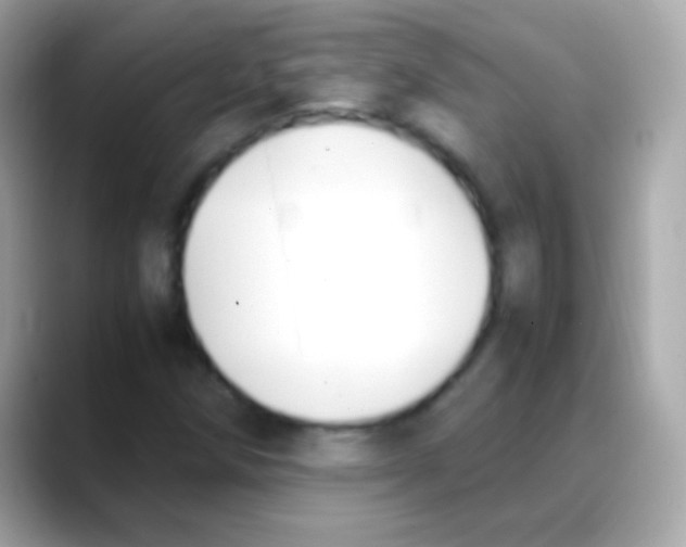 X0000088151258200706042022