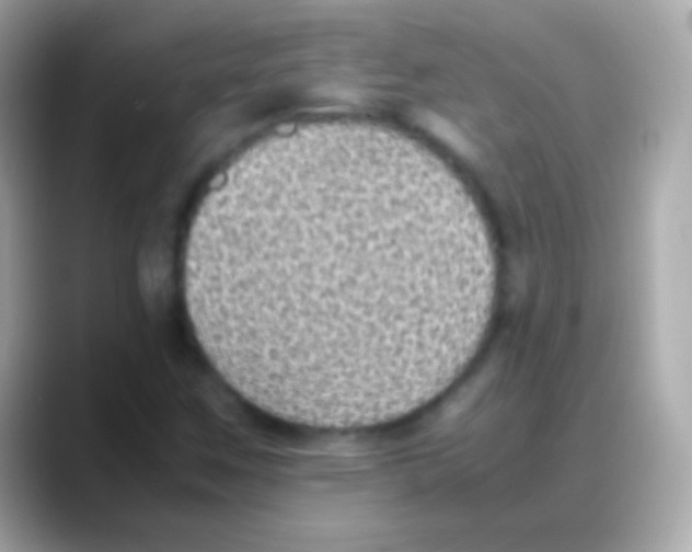 X0000088151259200706042022