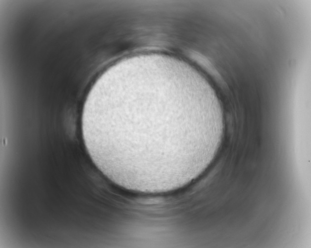 X0000088151260200706042022