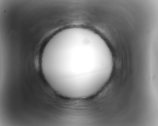 X0000088151262200706042022