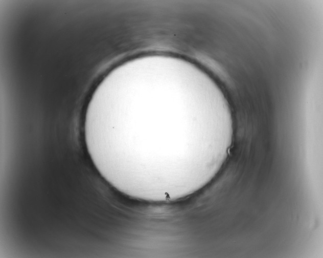 X0000088151264200706042022