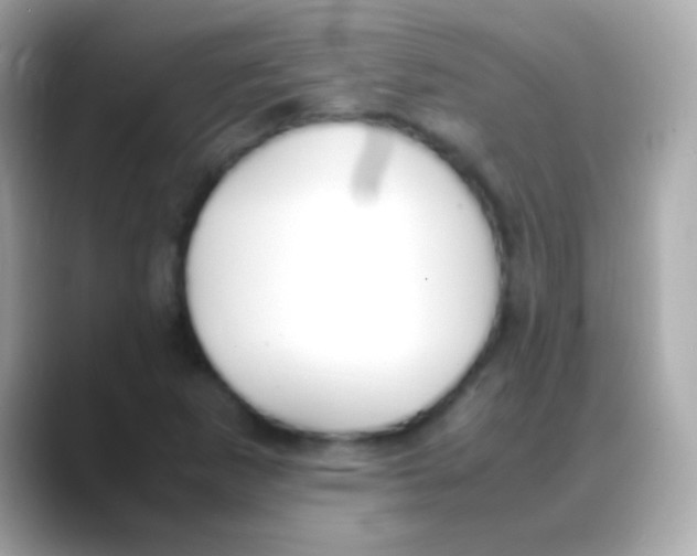 X0000088151265200706042022