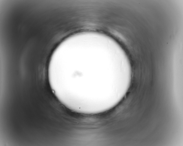 X0000088151267200706042022