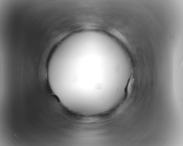 X0000088151269200706042022