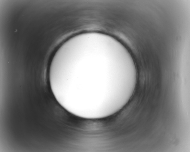 X0000088151270200706042022