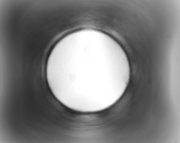 X0000088151272200706042022