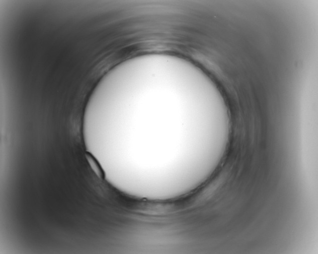 X0000088151273200706042022