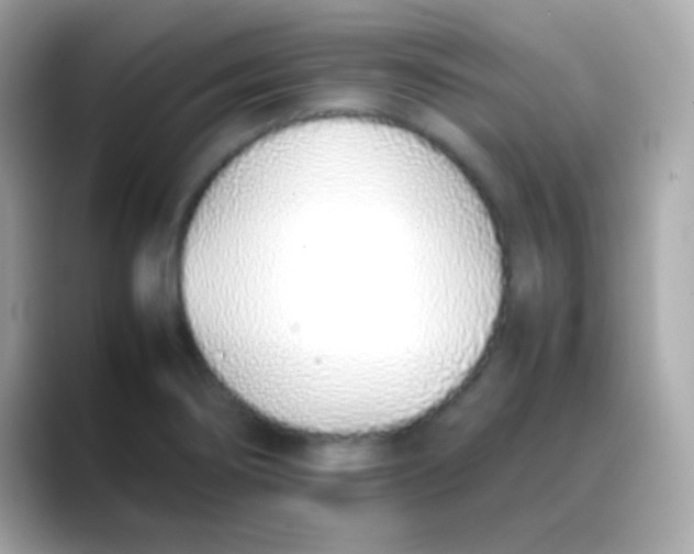 X0000088151274200706042022