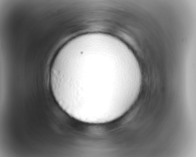 X0000088151275200706042022