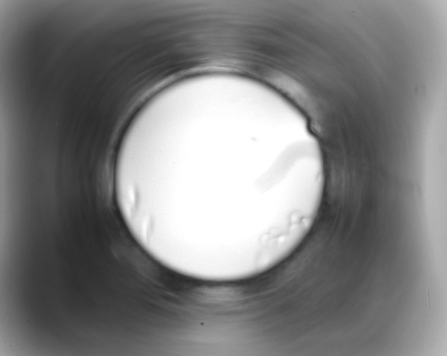 X0000088151276200706042022