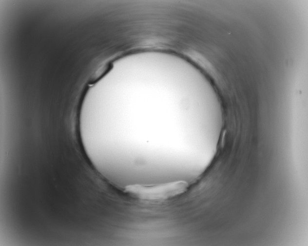 X0000088151277200706042022