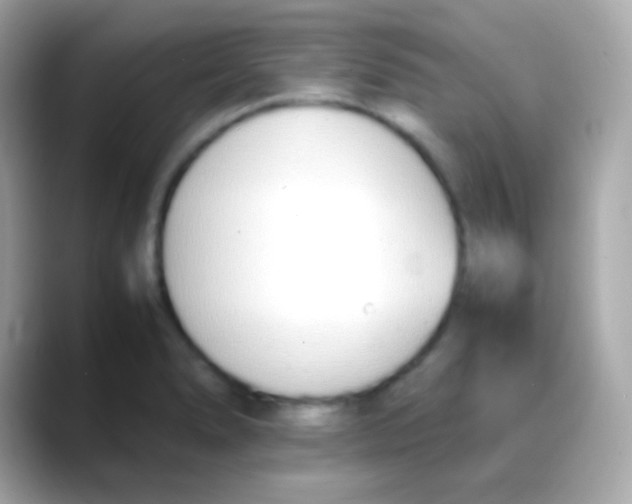 X0000088151278200706042022