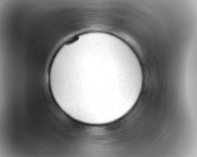 X0000088151280200706042022