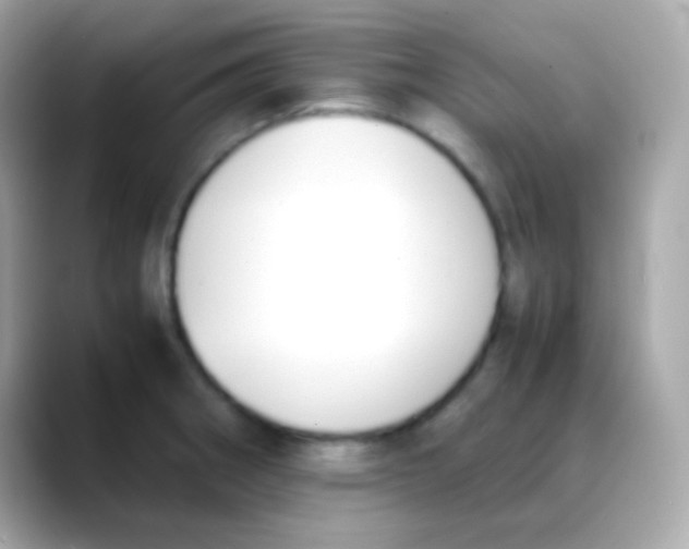 X0000088151282200706042022