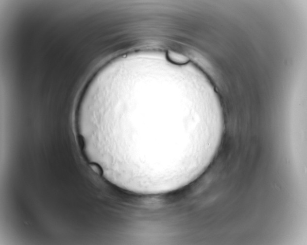 X0000088151283200706042022