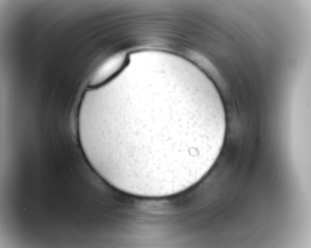 X0000088151284200706042021