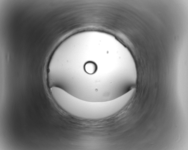 X0000088151287200706042021