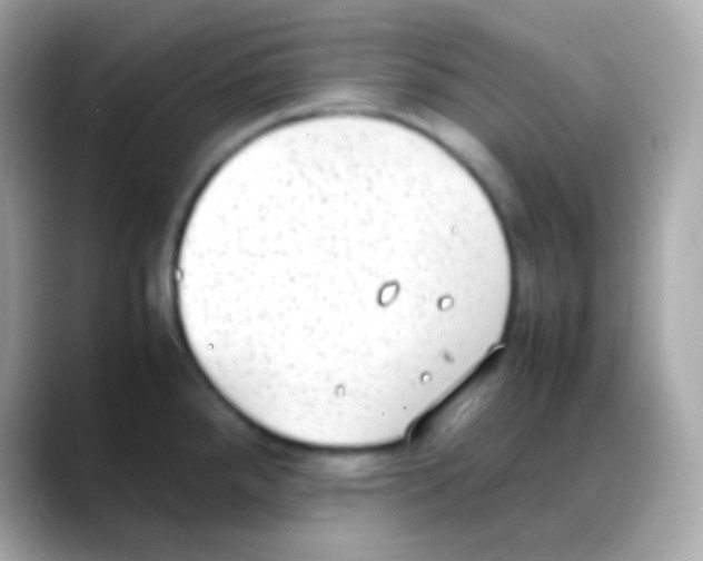 X0000088151288200706042021