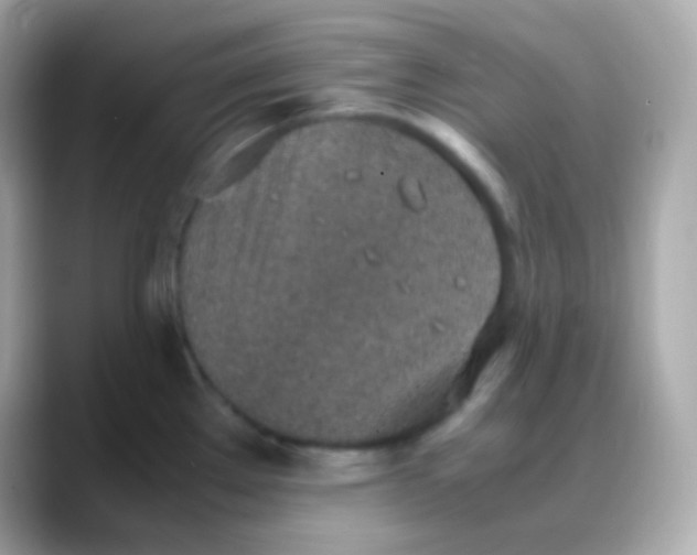 X0000088151289200706042021