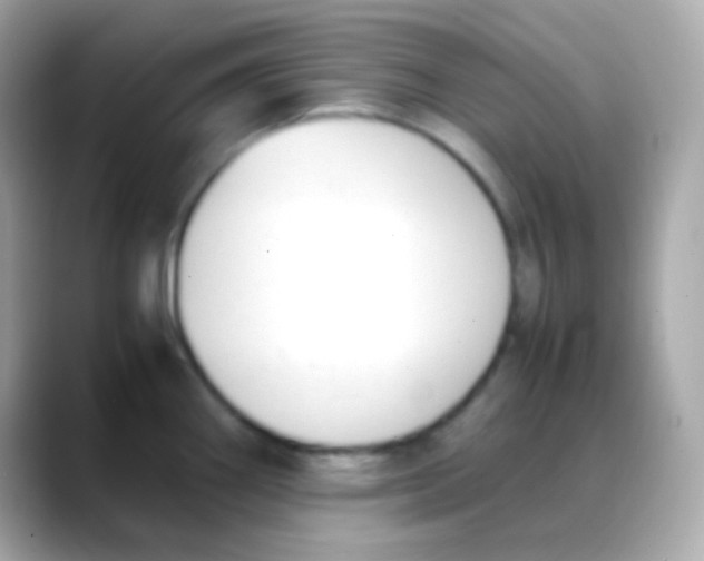 X0000088151290200706042021