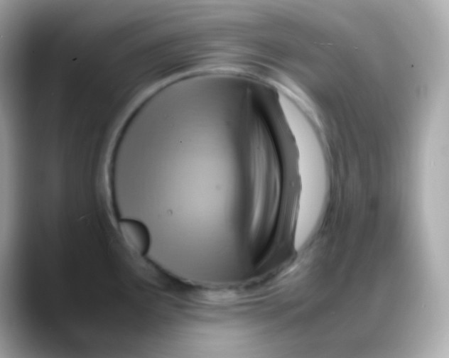 X0000088151291200706042021