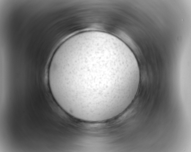 X0000088151292200706042021