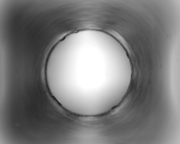 X0000088151293200706042021