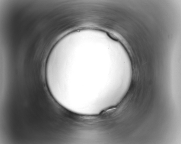 X0000088151295200706042021