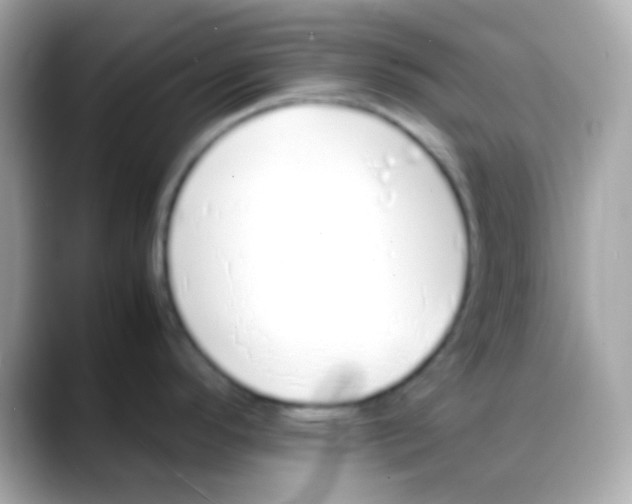 X0000088151296200706042021