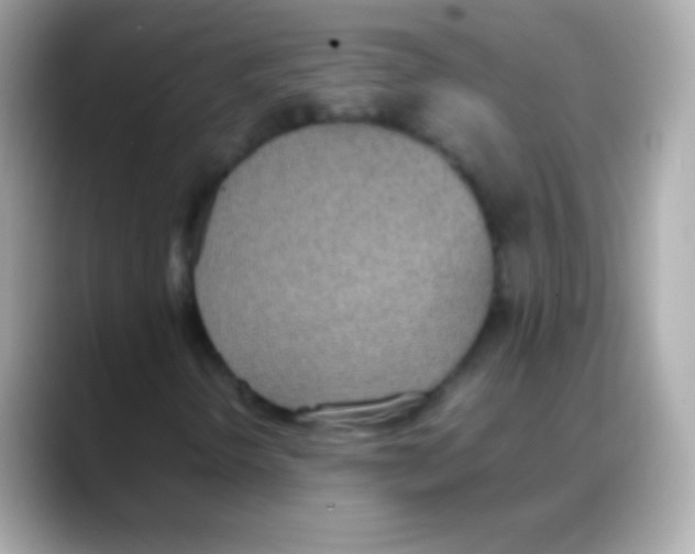 X0000088151298200706042021