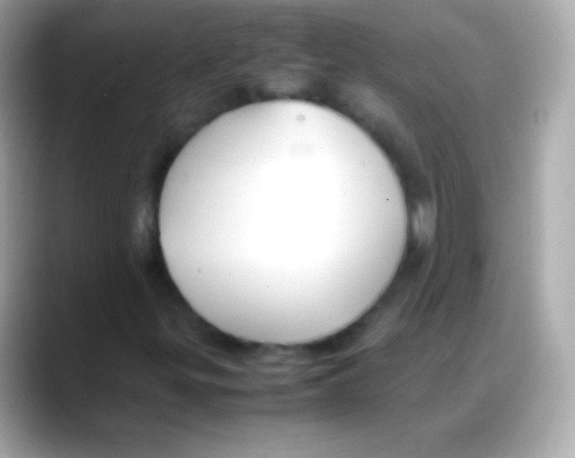 X0000088151299200706042021