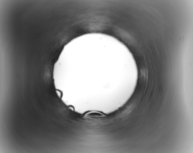 X0000088151300200706042021