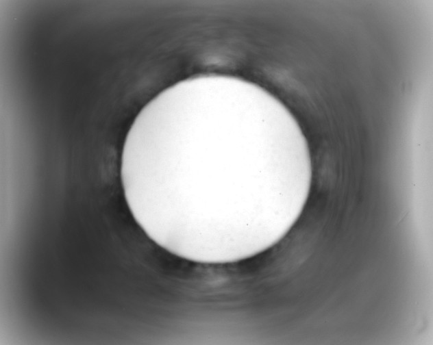 X0000088151301200706042021