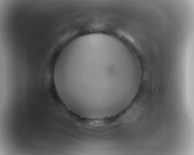 X0000088151303200706042021