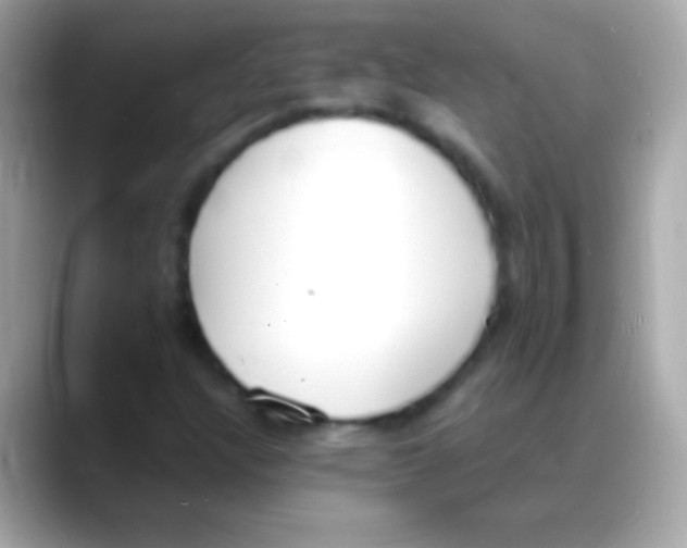 X0000088151304200706042021