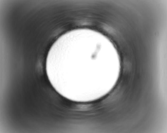 X0000088151305200706042021